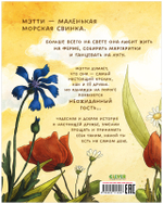 Книжки-картинки. Мэтти и неожиданный гость