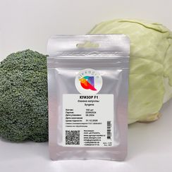 КУИЗОР F1 семена капусты белокочанной (Syngenta | Alexagro)