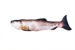 Мягкая игрушка «Форель»