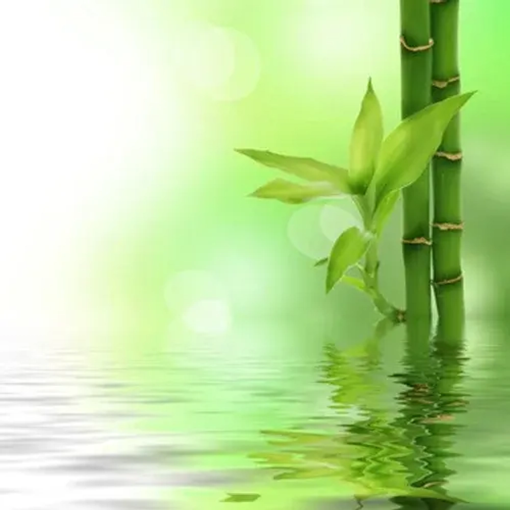 Отдушка TFC - Свежий бамбук (Fresh Bamboo)