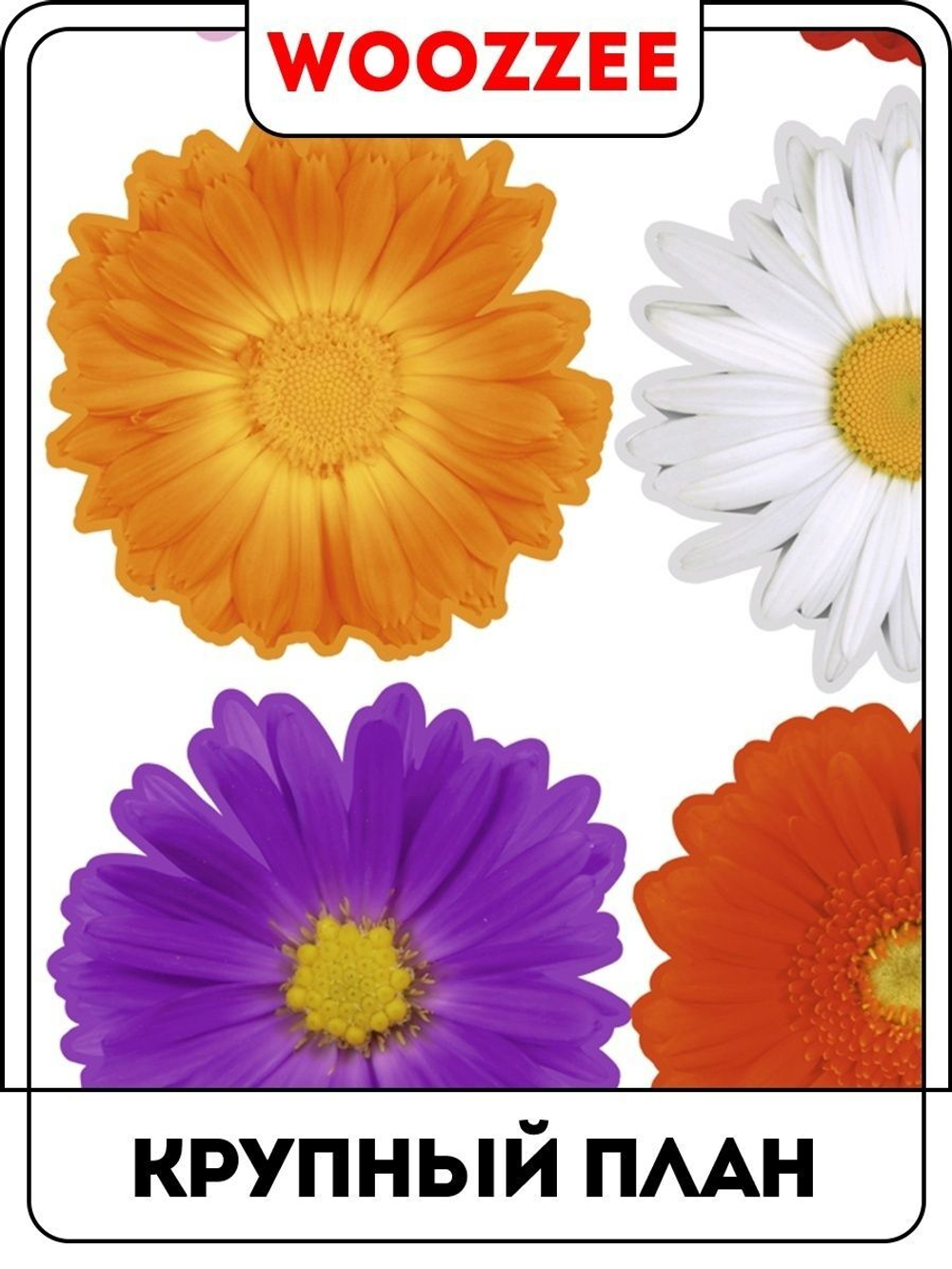 Наклейка декоративная А3 "Ассорти из гербер"