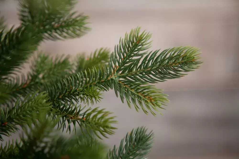 Ель Городская, 100% литая хвоя, 230 см., Black Box (74544)