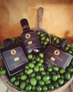 Оливковое масло CENTONZE Case Di Latomie I.G.P., Extra Virgin, темная бутылка 500 мл, Италия