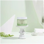 Крем с липосомами увлажняющий с экстрактом камелии Sandawha ReNew Moisturizing Liposome Cream, 55 г