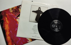 Винтажная виниловая пластинка LP Annie Lennox Diva (Spain 1992)