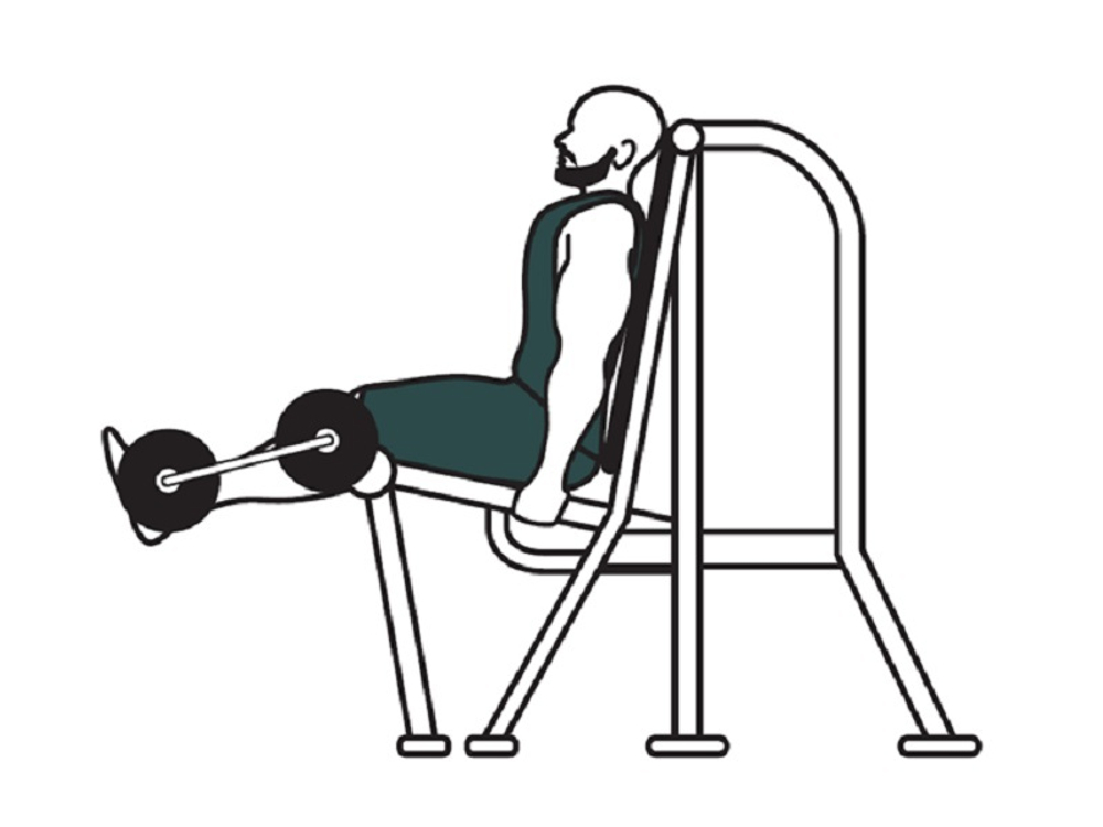Leg Extension  тренажер для разгибания ног