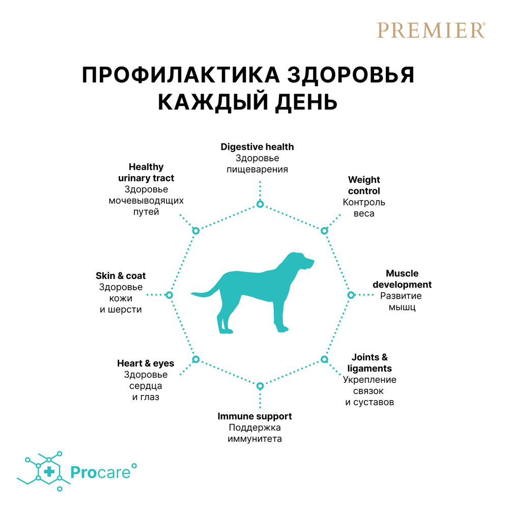 Premier Dog Maxi Lamb&Turkey Сухой корм для взрослых собак крупных пород с ягненком и индейкой, 3 кг