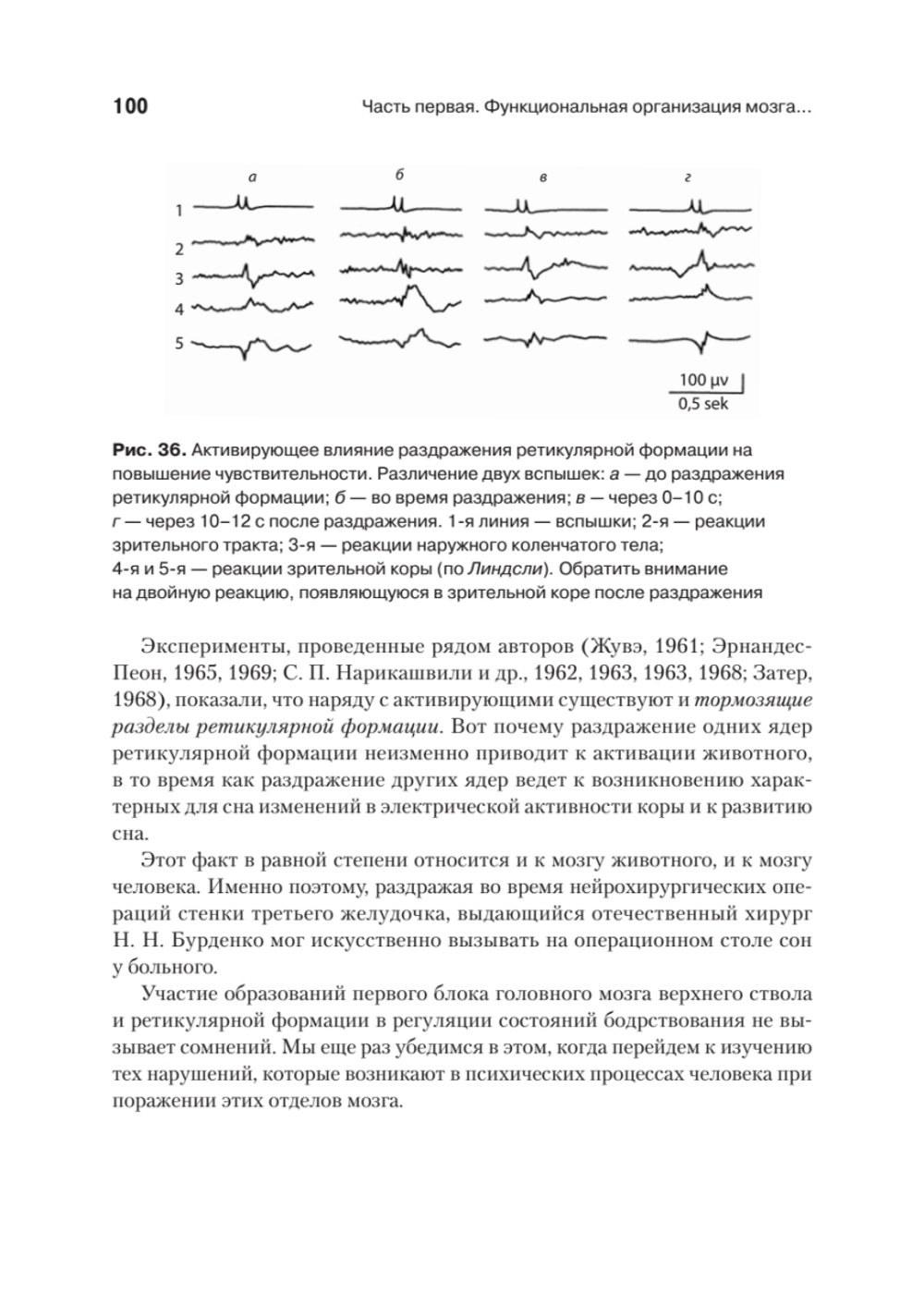 Основы нейропсихологии
