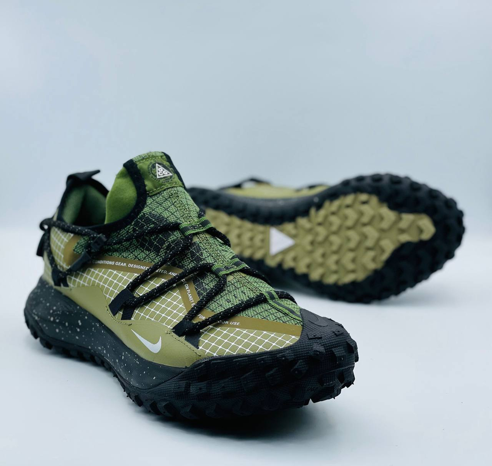 Кроссовки Nike ACG Mountain Fly Low