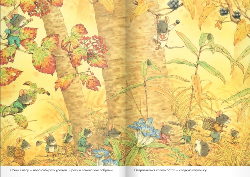 14 лесных мышей. Сладкая картошка