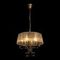 Подвесная люстра Loft IT Hermitage 10305/A