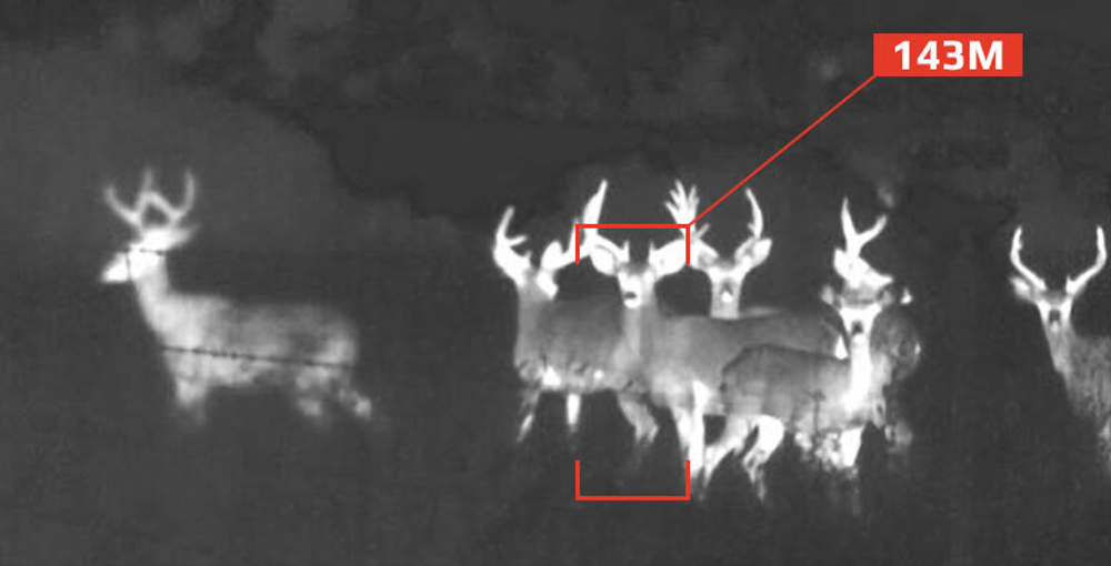 Тепловизионный прицел Iray Saim SCT35V2 384*288 35мм 50 Гц