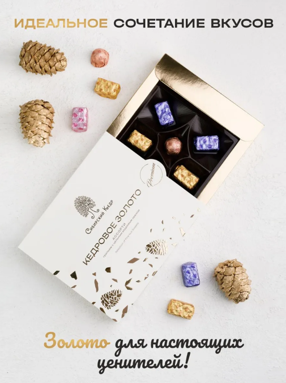 Скриншот 2026-03-05 19-56-55