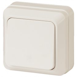 Выключатель Intro Quadro 2-101-02 одноклавишный 10А-250В, IP20, ОУ, слоновая кость