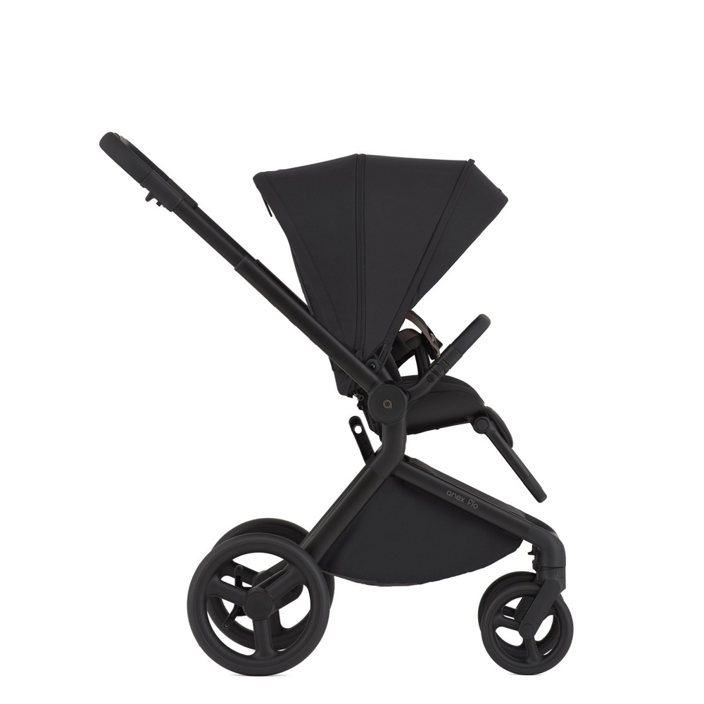 Anex Детская коляска Flo 2 в 1 Lungo