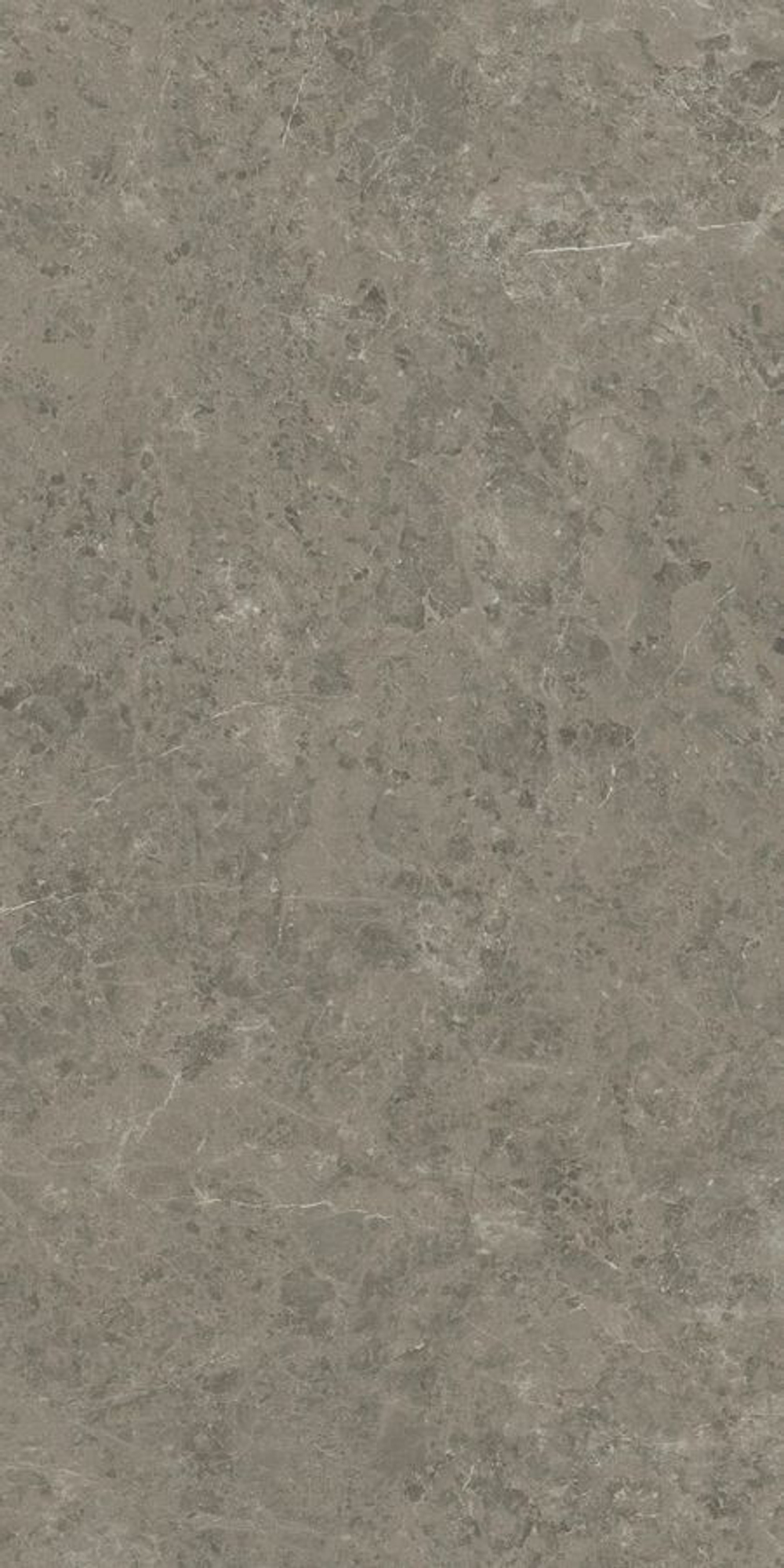 Керамогранит ATLAS CONCORDE MARVEL MERAVIGLIA Grigio Elegante Lappato 9 mm 120x240 AJIA