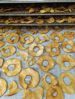 "ФРУЧИ" из яблок в сах. сиропе 50г