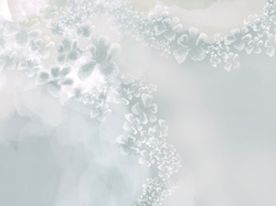 Коллекция ASTRAL 22