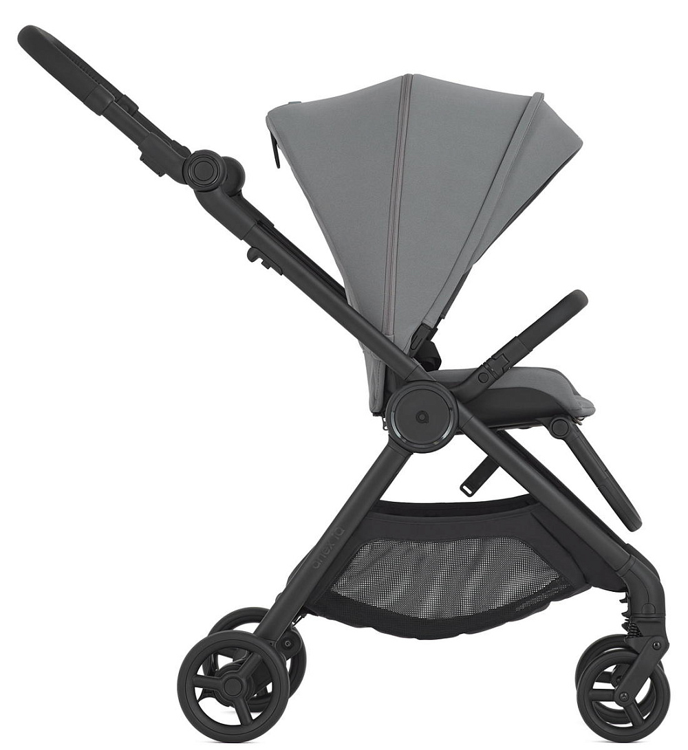 Детская коляска Anex iQ Basic NT 2 в 1 Loft