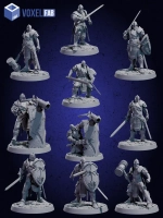 Стражи Света Миниатюры 10 шт. Dnd