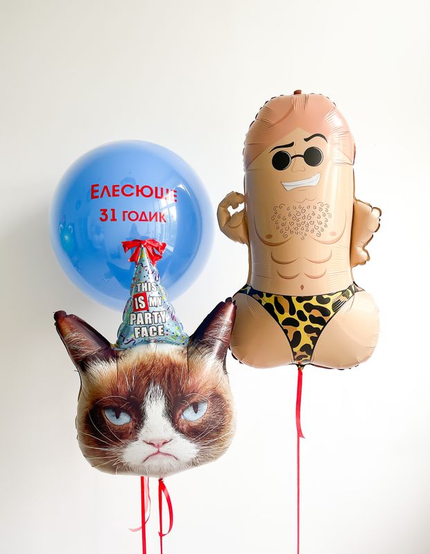 Воздушные шары №5356