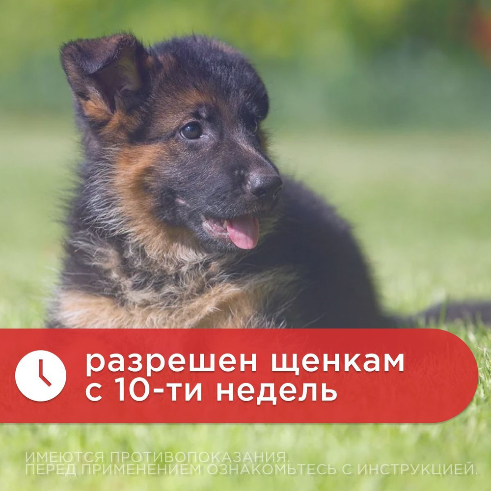 Спрей от блох, вшей и клещей АВЗ БАРС ФОРТЕ для собак, 100 мл