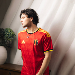 Бельгия / Домашняя / Игровая