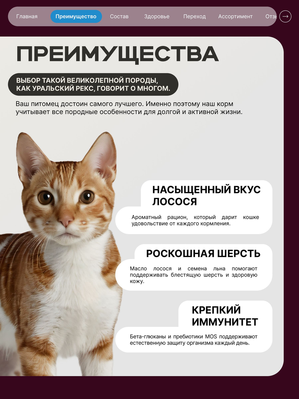 Корм сухой для взрослых кошек породы Уральский рекс, с лососем, 5 кг, QUATTRO