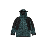 Куртки THE NORTH FACE 1994 Icon FW21, NF0A5B39-29L