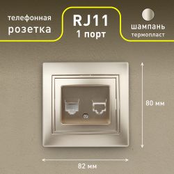 Розетка Intro Plano 1-302-04 телефонная RJ11, IP20, СУ, шампань