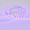 Светодиодная лента Arlight 14,4W/m 60LED/m 5060SMD синий 5M 012336