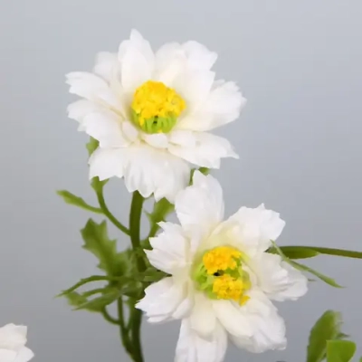 Искусственные цветы «Космея» 68см белые