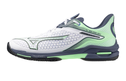 Мужские кроссовки теннисные Mizuno Wave Exceed Tour 6 CC - белый