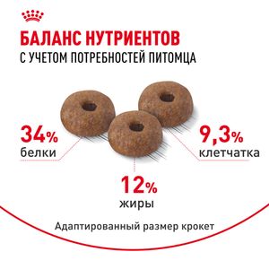 Сухой корм Royal Canin Appetite Control Care для взрослых кошек — для контроля выпрашивания корма