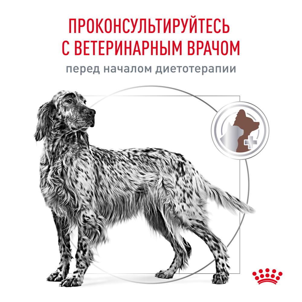 Сухой корм Royal Canin GASTROINTESTINAL для взрослых собак при расстройствах пищеварения 15кг