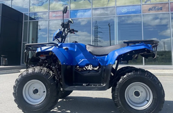 Квадроцикл IRBIS ATV 200U LUX (+лебедка)