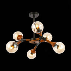 Светильник потолочный Evoluce Raquel SLE109402-06