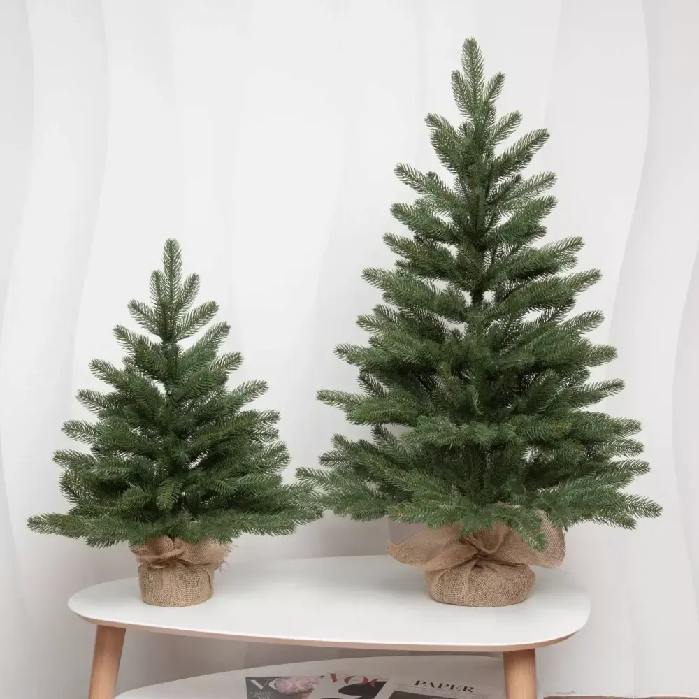 маленькая елка "Олимпия"