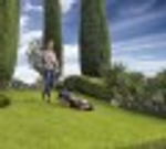 Газонокосилка аккумуляторная Worx WG779E.1