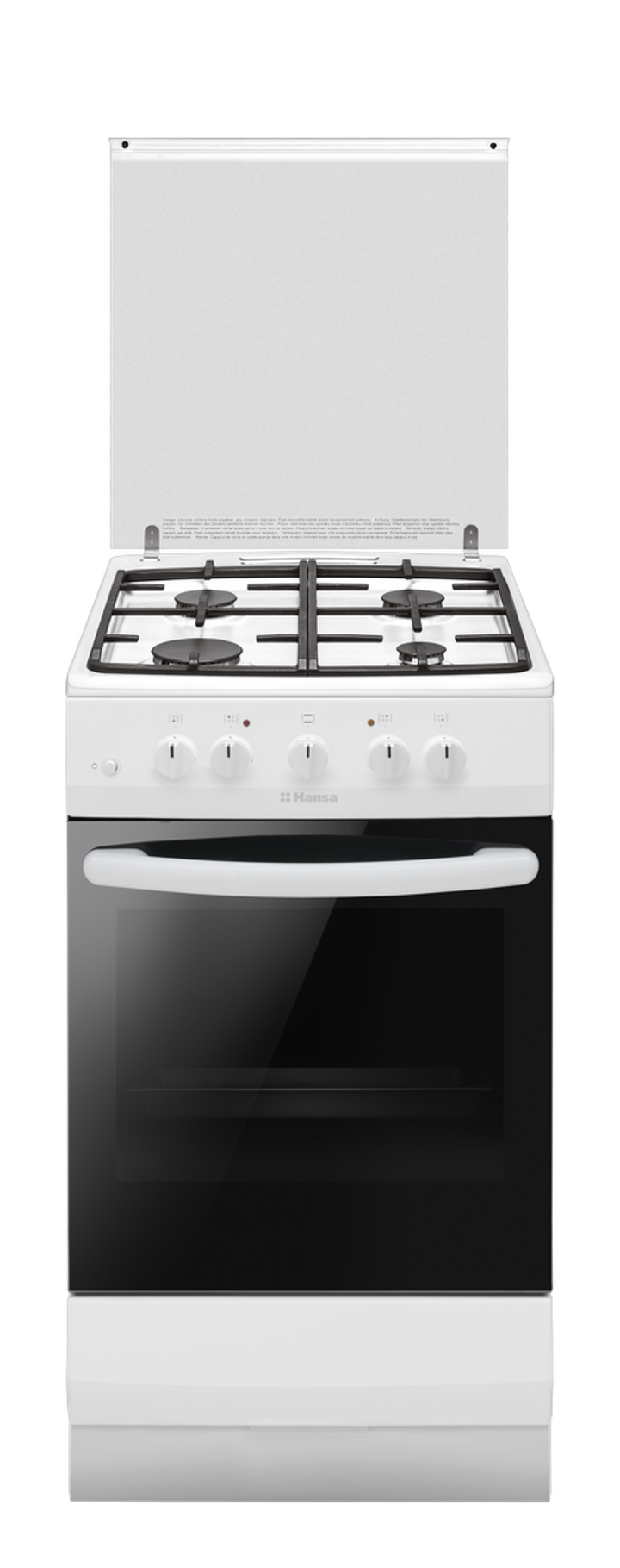 Газовая плита Hansa FCGW530253