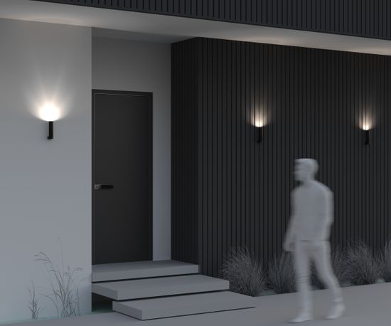 Уличный настенный светильник Outdoor O508WL-L5B3K