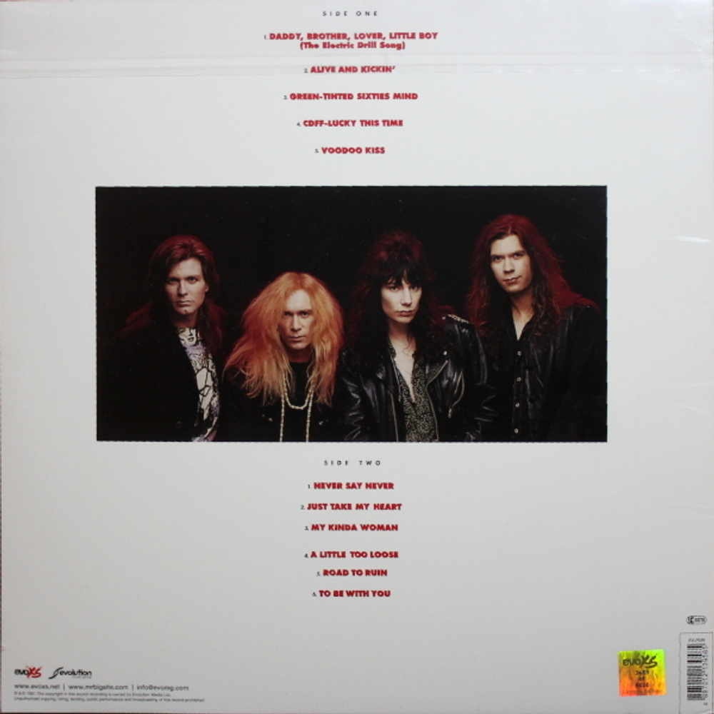 Mr. Big / Lean Into It (30th Anniversary)(Coloured Vinyl)(LP)