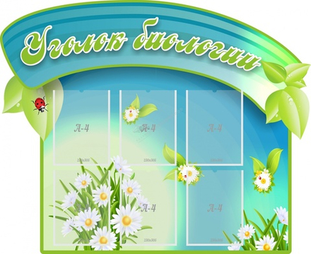 "Уголок биологии" резной стенд