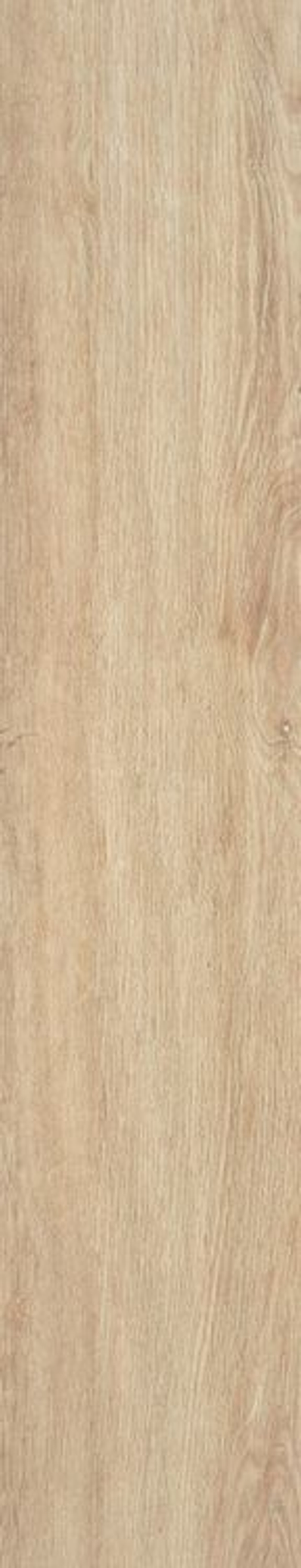 STN Ceramica Volte Haya Matt 22.7x119.5