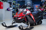 Снегоход ATAKI WD 250