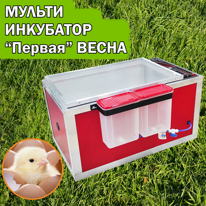 Мульти инкубатор ВЕСНА "Первая", на 77 куриных яиц
