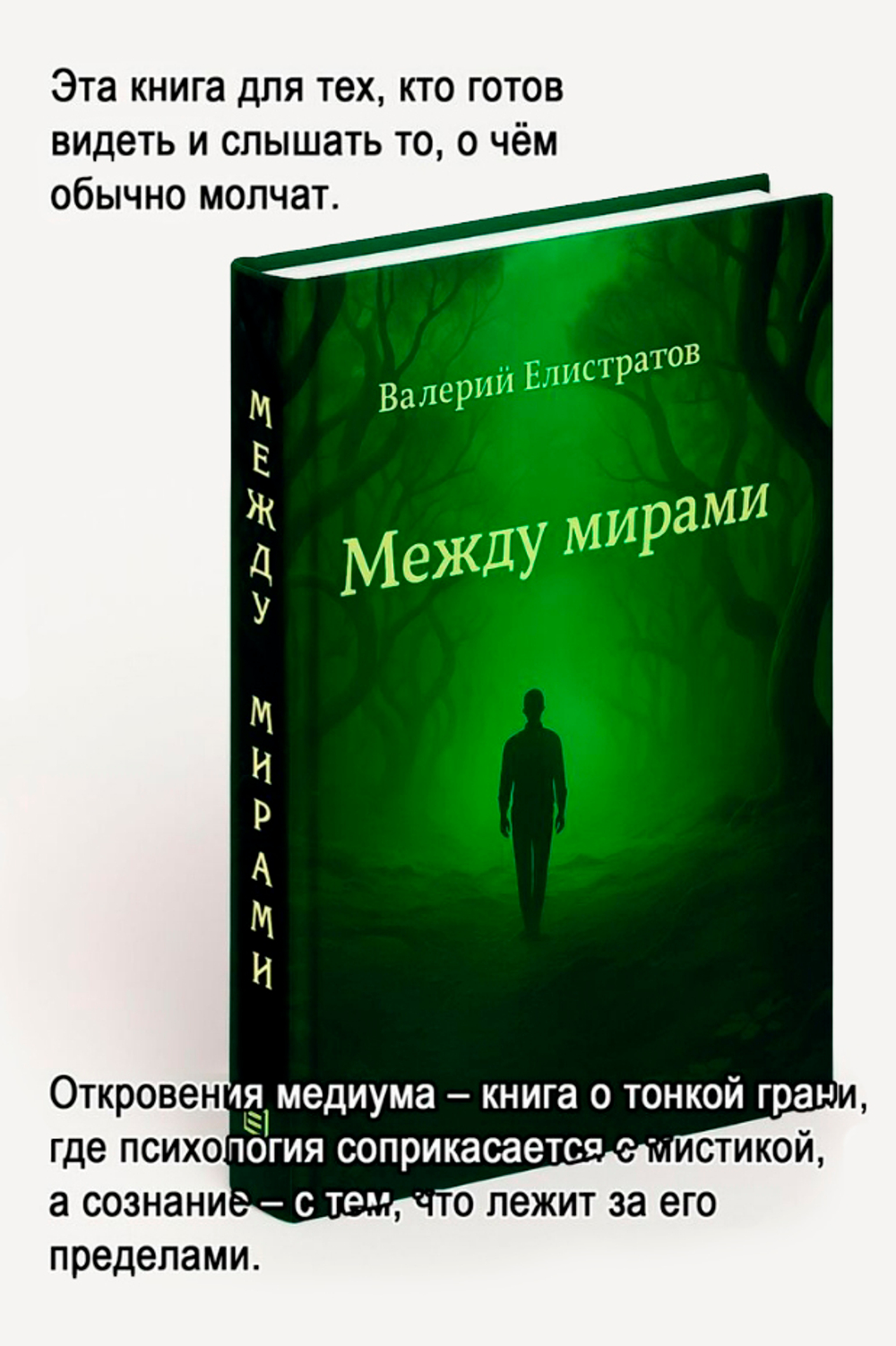 Книга "Между мирами", автор Валерий Елистратов