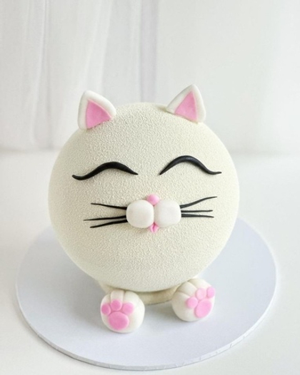 Торт шар №205