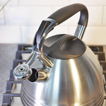 Чайник 2,7л нерж со свистком, матовый, ручка с силиконовым покрытием, индукция, "Daniks" PR-2201