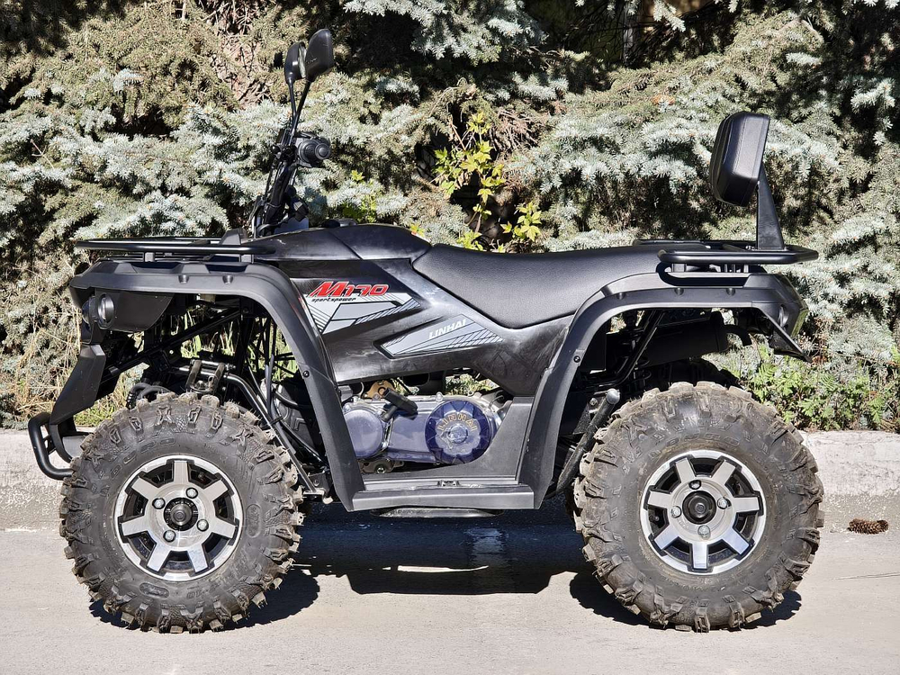 LINHAI-YAMAHA M 170 черный